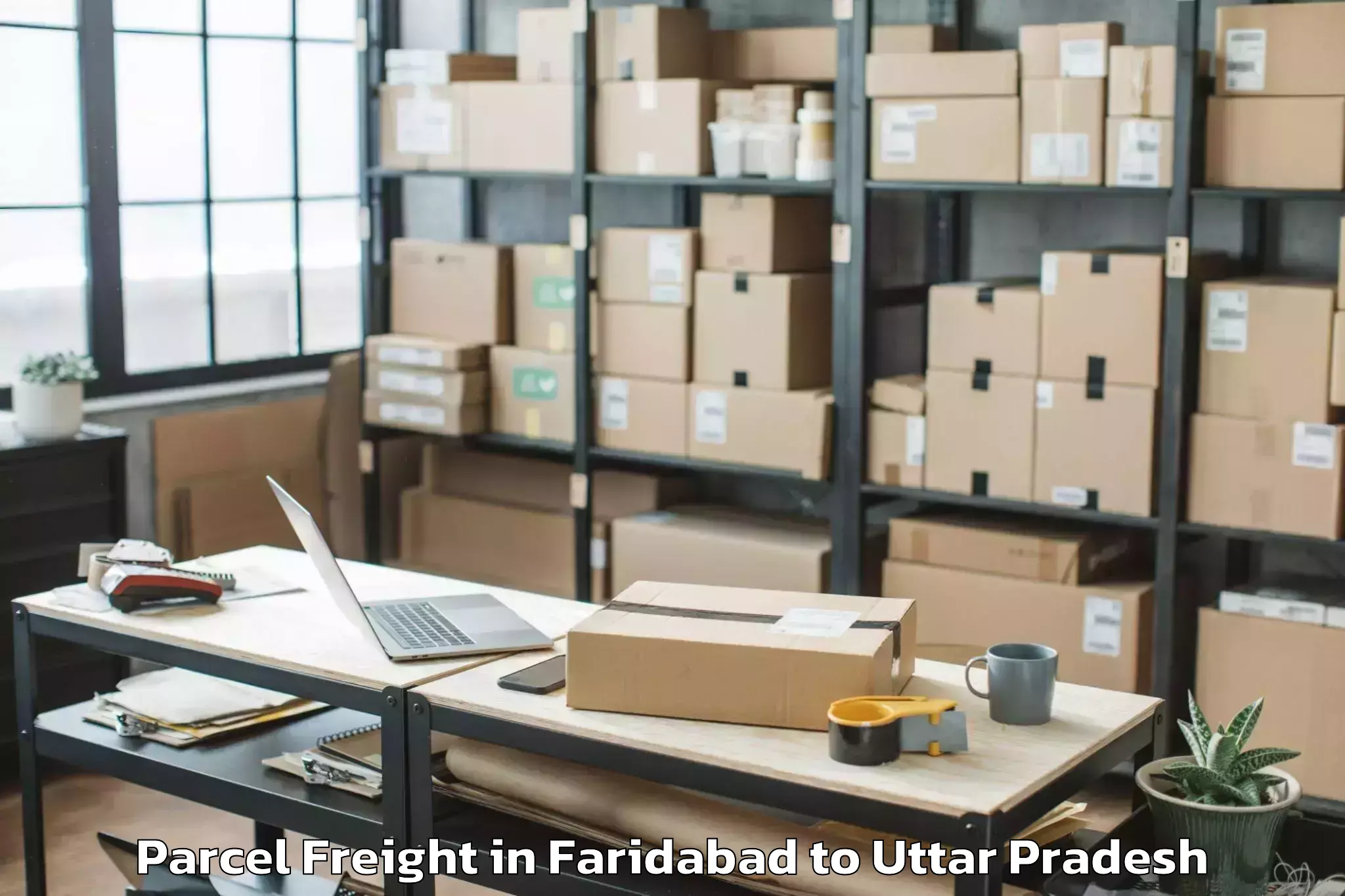 Book Your Faridabad to Sasni Parcel Freight Today